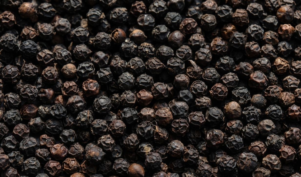 Black Pepper Export from India — Malabar Garbled Tellicherry Bold Kerala
