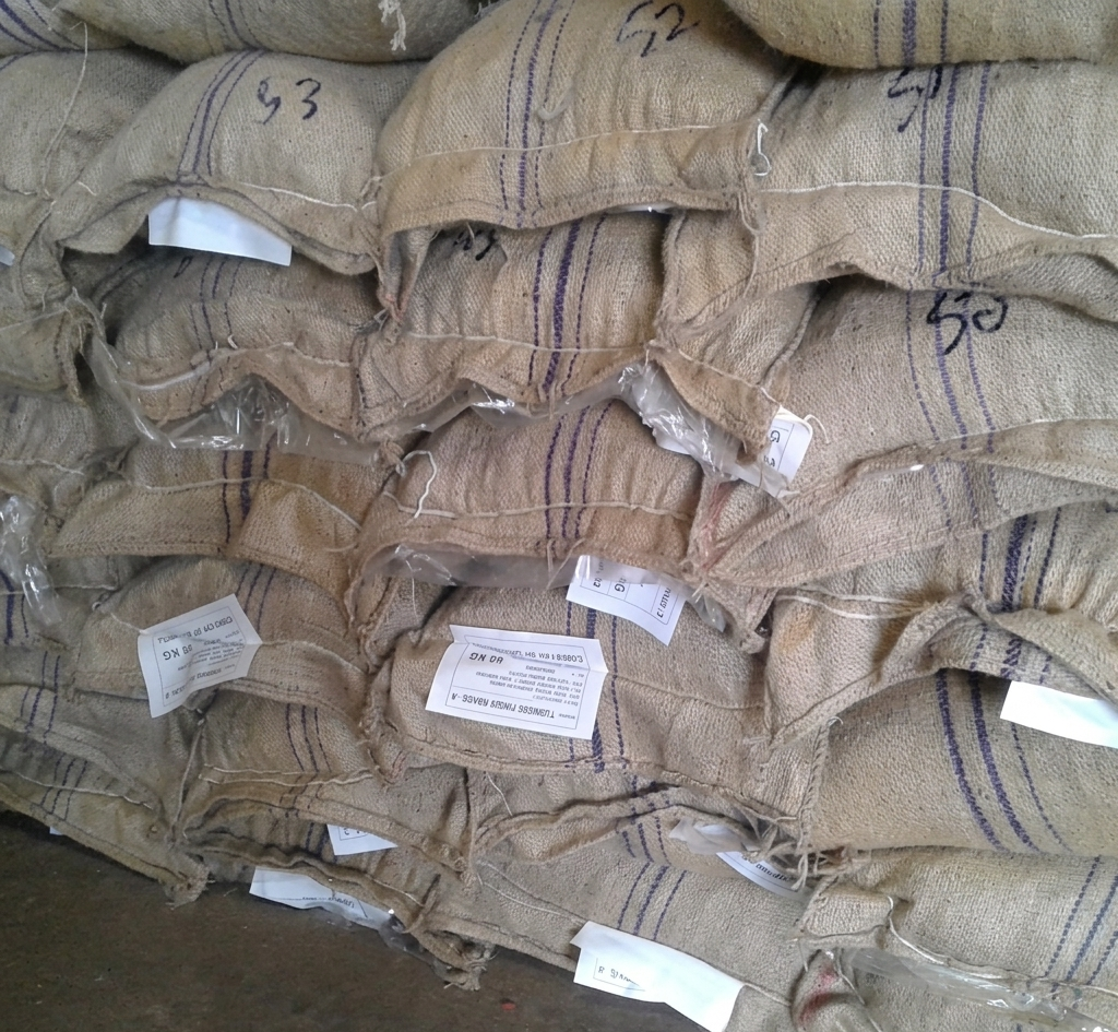Erode Turmeric Export Packaging