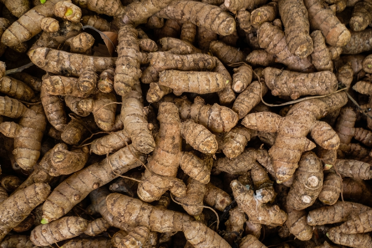 Erode Turmeric Farm Origin