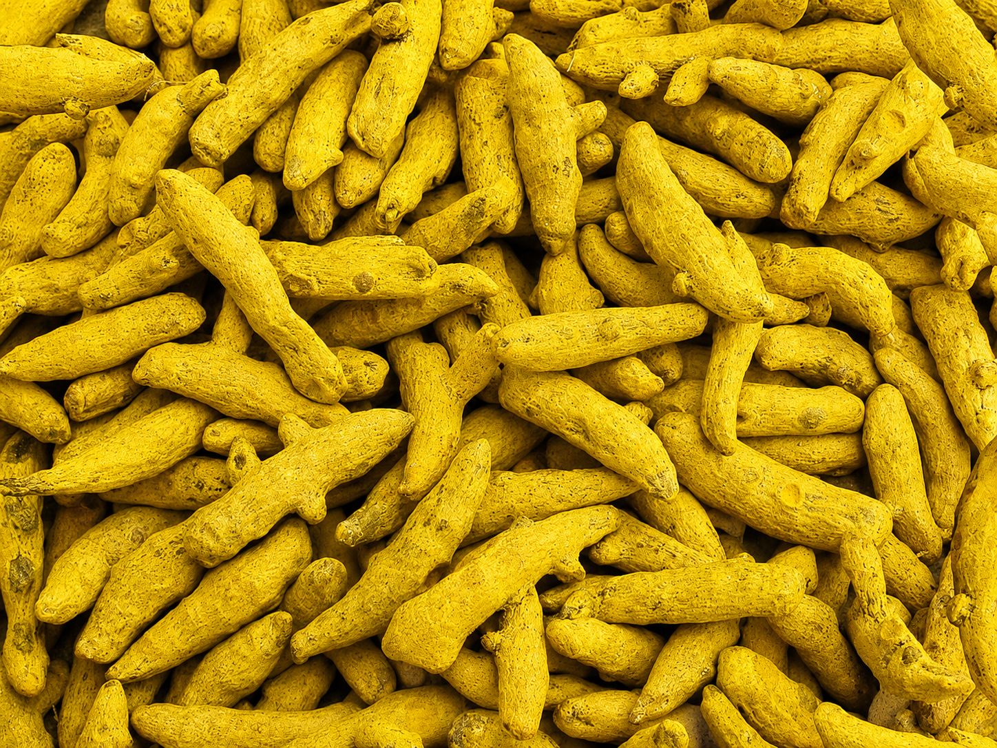 Erode Turmeric Fingers Whole from Tamil Nadu India