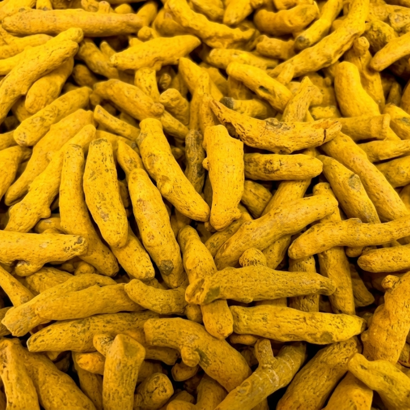 Erode Turmeric
