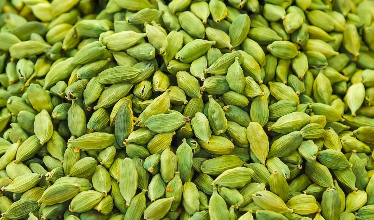 Green Cardamom Export from India — Bold 8mm Kerala Spice Queen of Spices