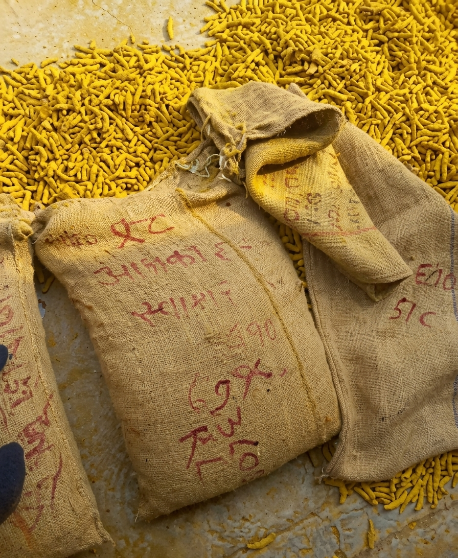Nizamabad Turmeric Bulk Export