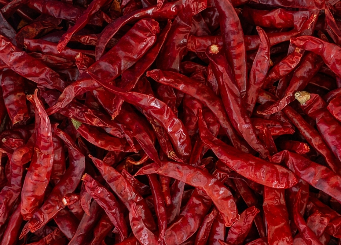 Premium Red Chilli Export from India — Sannam S4 Teja Byadgi Varieties