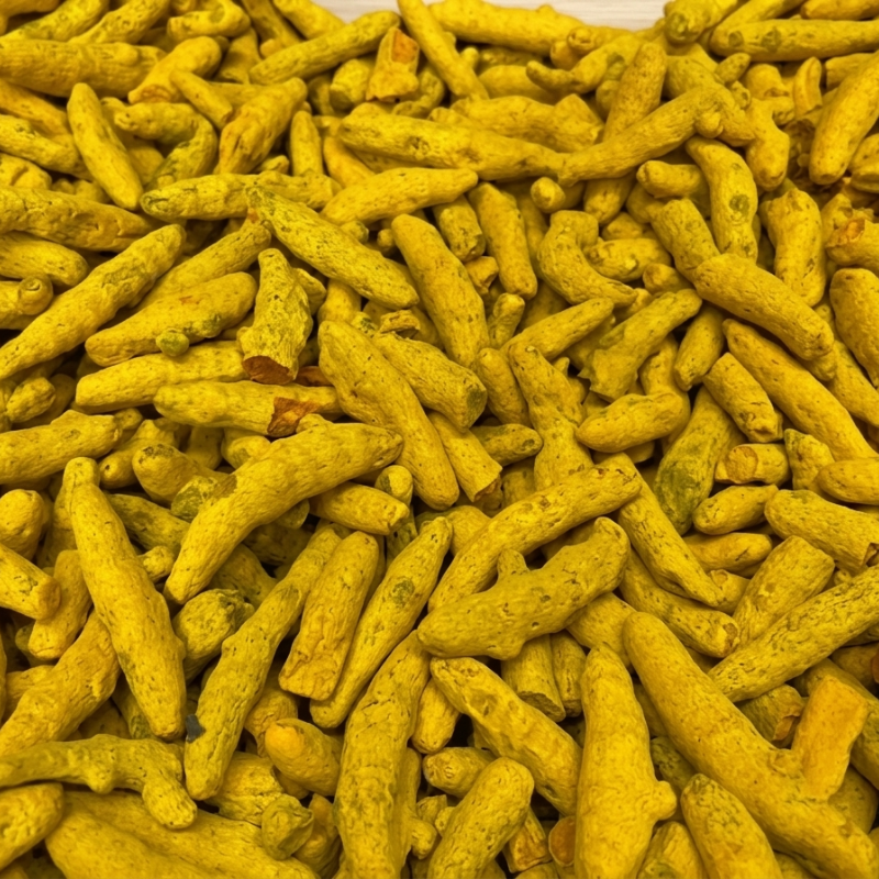 Salem Turmeric