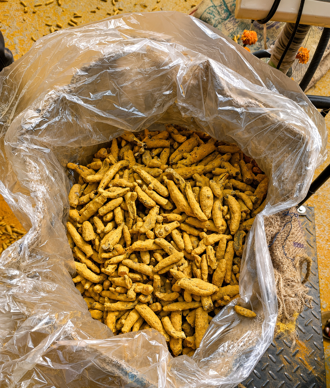 Salem Turmeric Export Bags