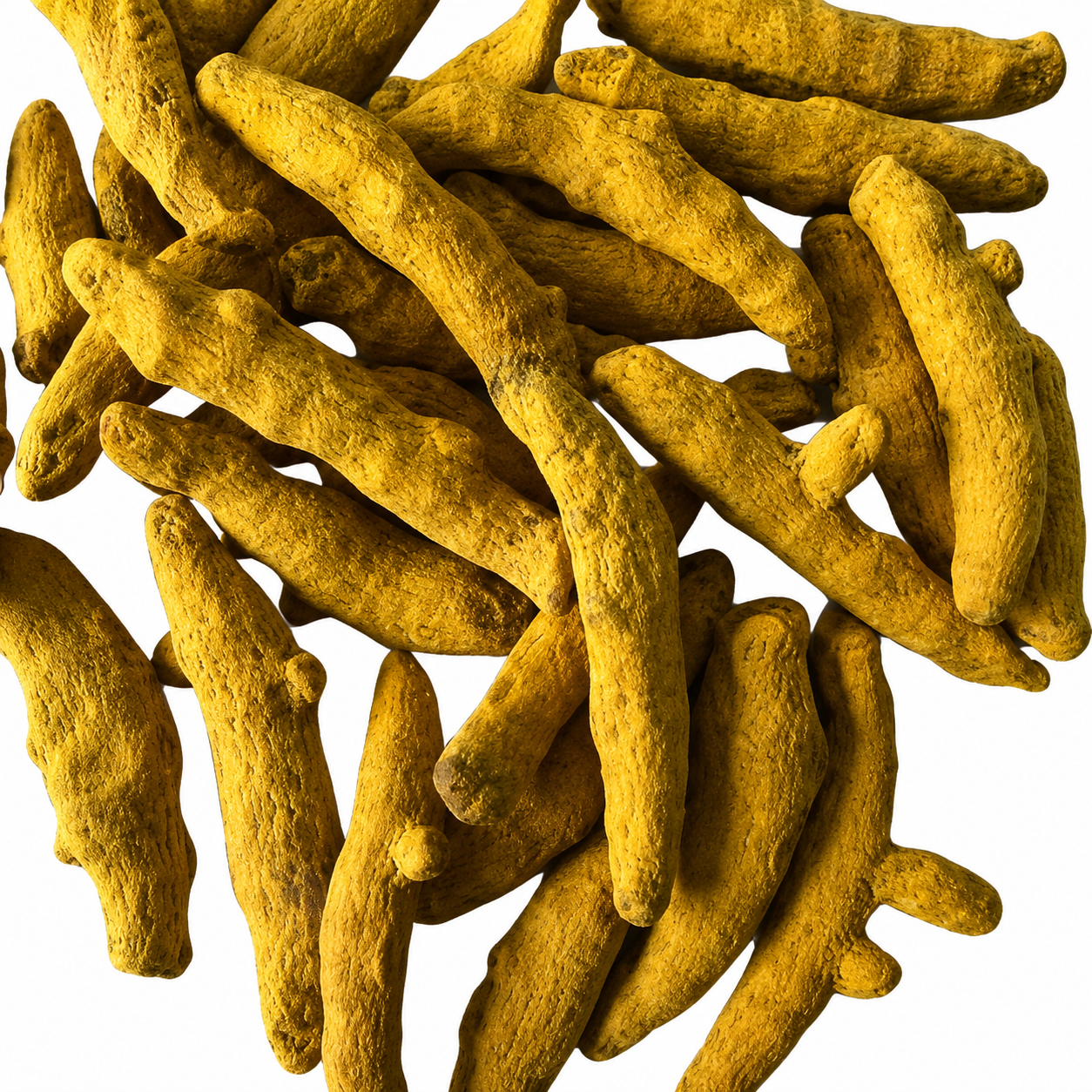Salem Turmeric Polished Detail