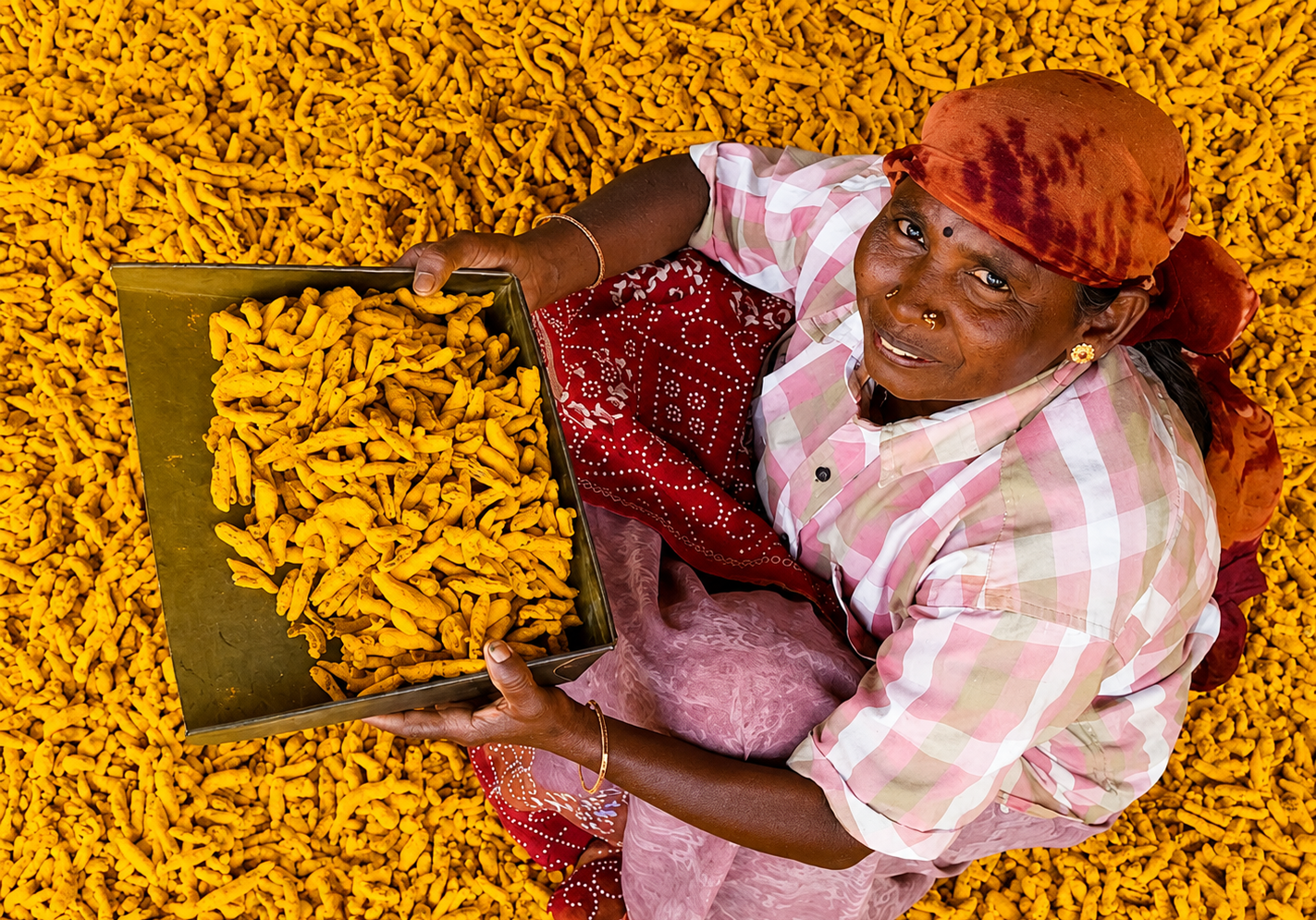 Turmeric Processing
