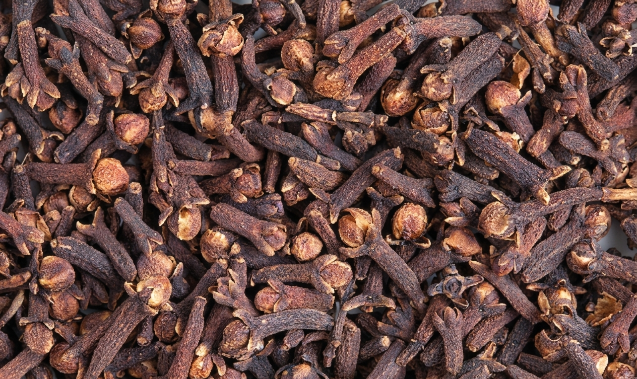 Whole Cloves Export from India — Hand-Picked High Eugenol Kerala Tamil Nadu